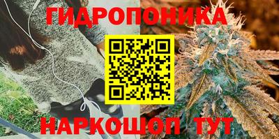 MDMA Premium VHQ Кунгур