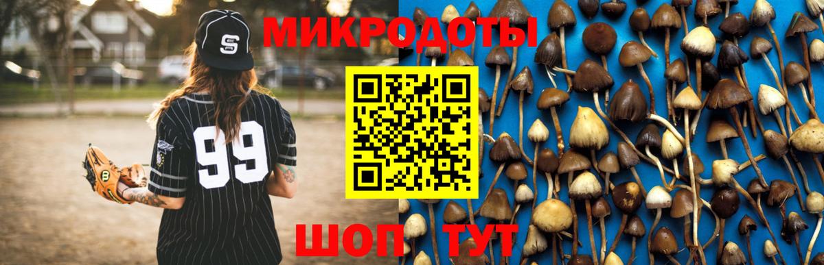 Камень-на-Оби  Псилоцибиновые грибы MAGIC MUSHROOMS  Галлюциногенные грибы мицелий  Вход с VPN 